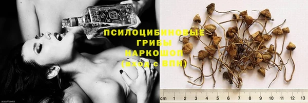 apvp Дубовка