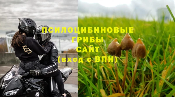 ALPHA PVP Медногорск