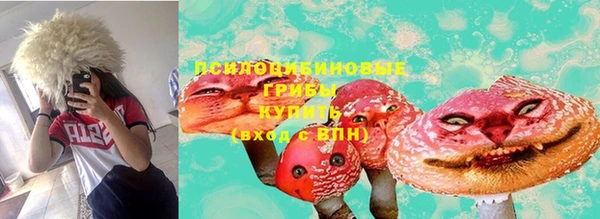 прущая мука Дубна