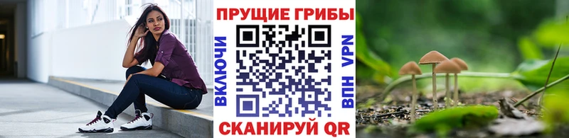 Псилоцибиновые грибы MAGIC MUSHROOMS  blacksprut зеркало  Закаменск  купить  сайты 